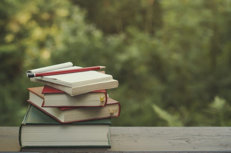 Bien choisir sa filière suite à un bac L