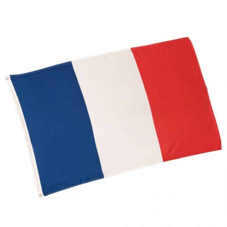 Bien comprendre et écrire le français