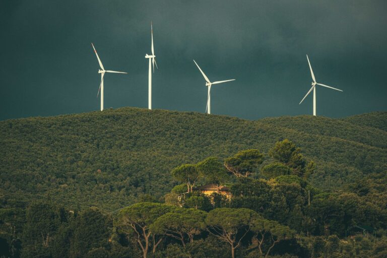 Quels sont les métiers de l&rsquo;écologie en pleine expansion dans le domaine de la formation en développement durable ?